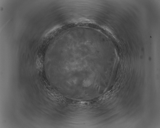 X0000067391063200603311253