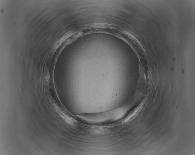 X0000067391065200603311253