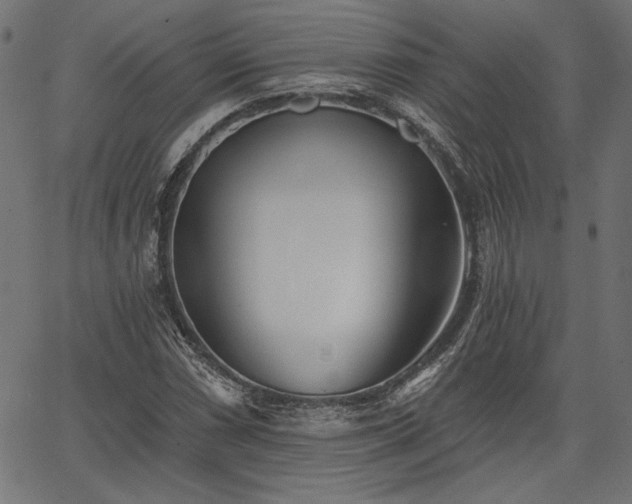 X0000067391066200603311253