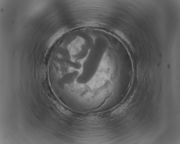 X0000067391067200603311253