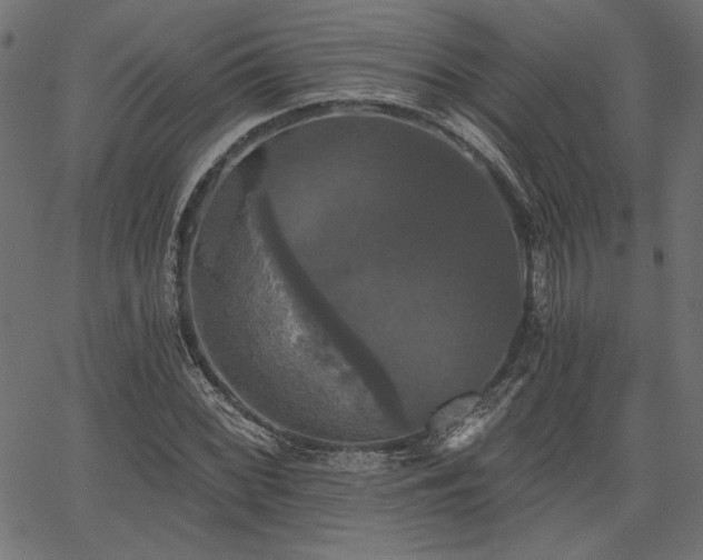 X0000067391068200603311253