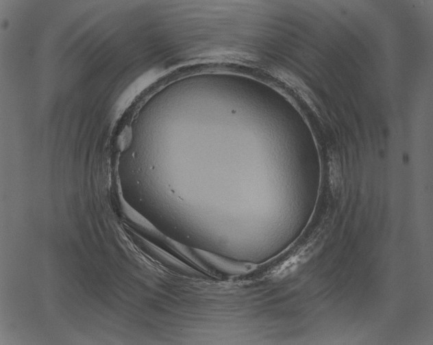 X0000067391069200603311253