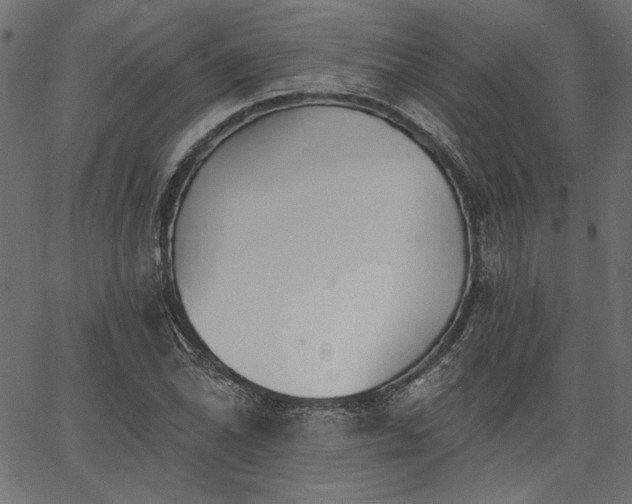 X0000067391070200603311253