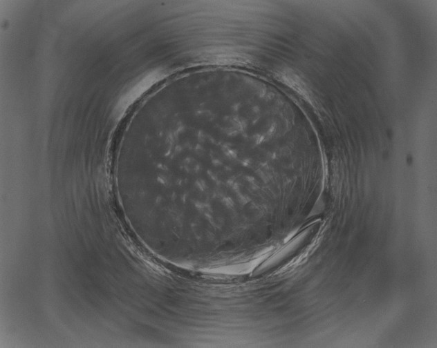 X0000067391071200603311253