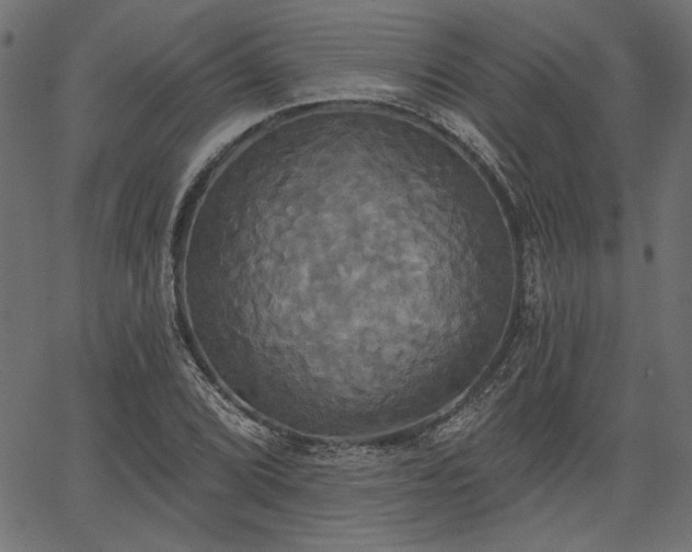 X0000067391072200603311253