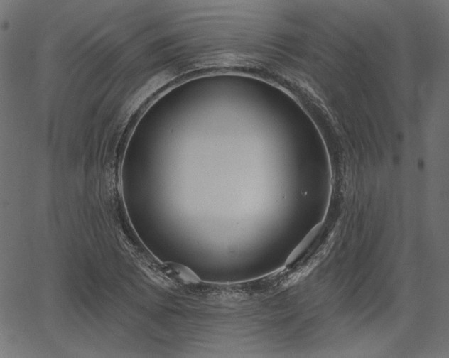 X0000067391073200603311253