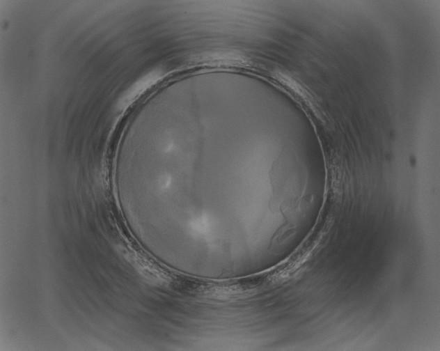 X0000067391074200603311253