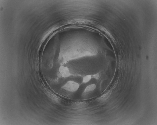 X0000067391075200603311253