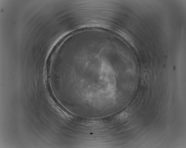 X0000067391076200603311253