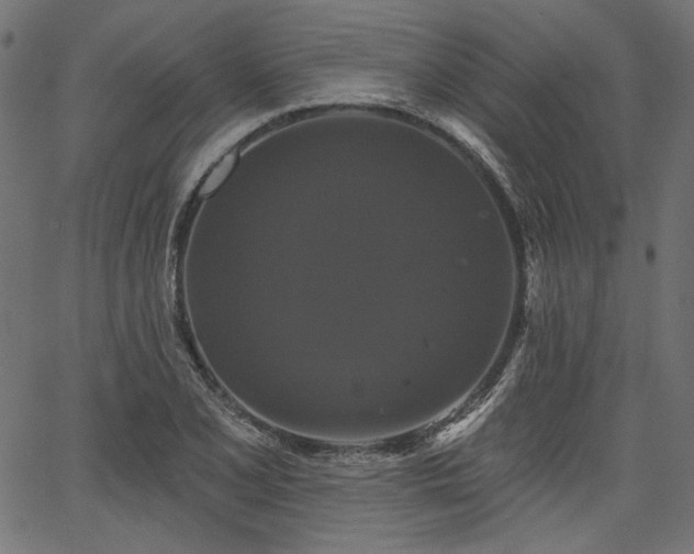 X0000067391077200603311253