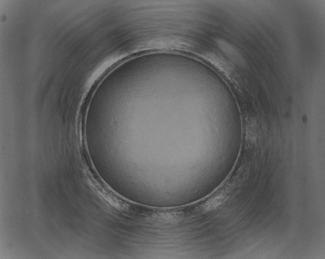 X0000067391078200603311253