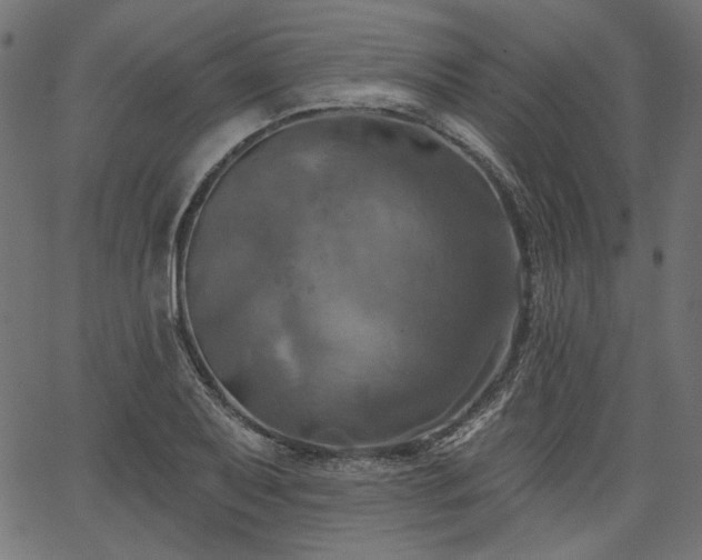 X0000067391079200603311253