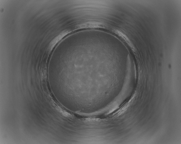 X0000067391081200603311253