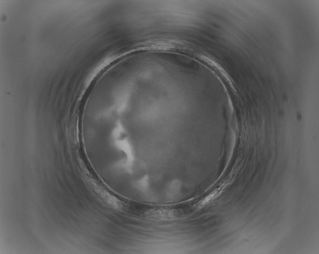 X0000067391083200603311253