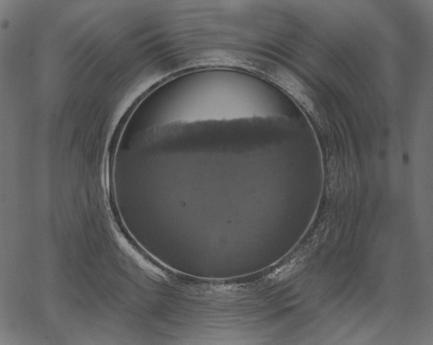 X0000067391084200603311253