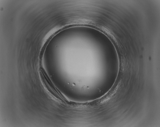 X0000067391085200603311253