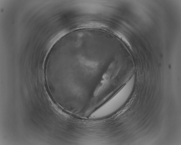 X0000067391087200603311253