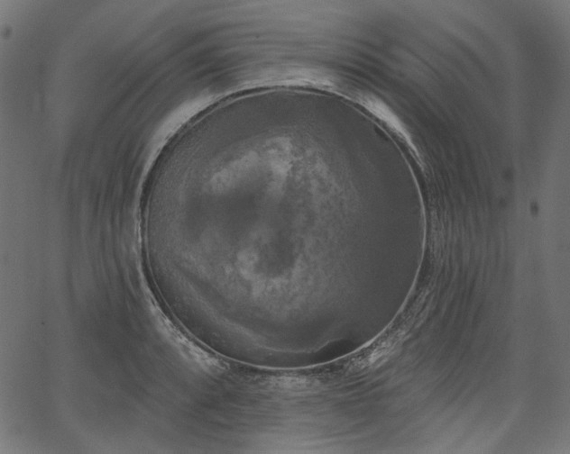 X0000067391088200603311253