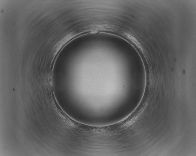 X0000067391089200603311253