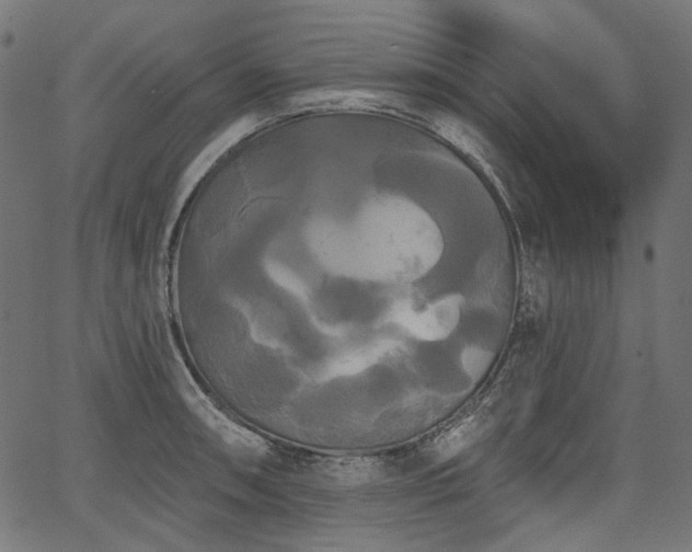 X0000067391090200603311253