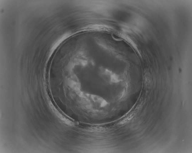 X0000067391091200603311253