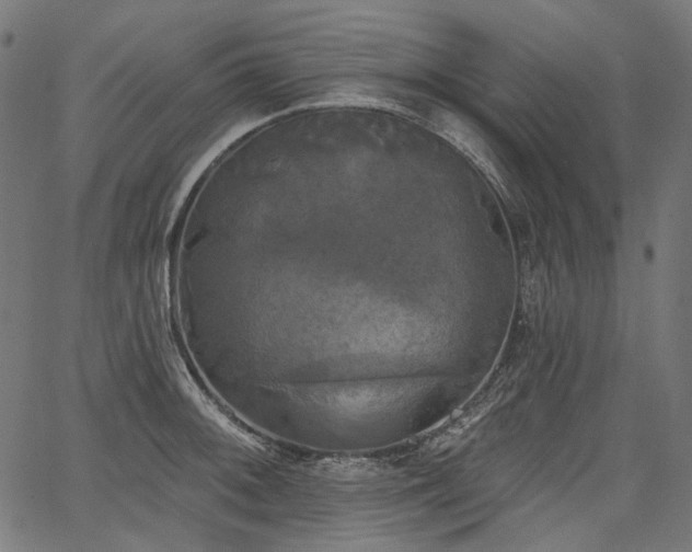 X0000067391092200603311253