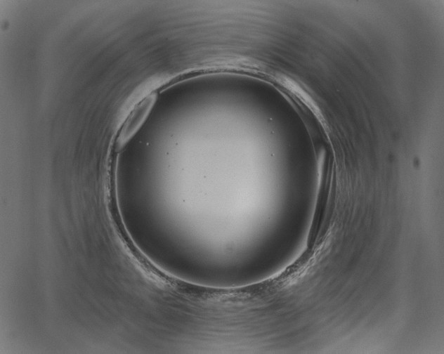 X0000067391093200603311253