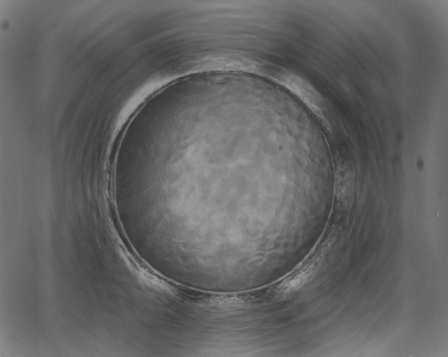 X0000067391094200603311253