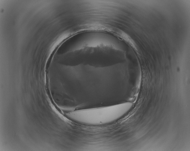 X0000067391095200603311253