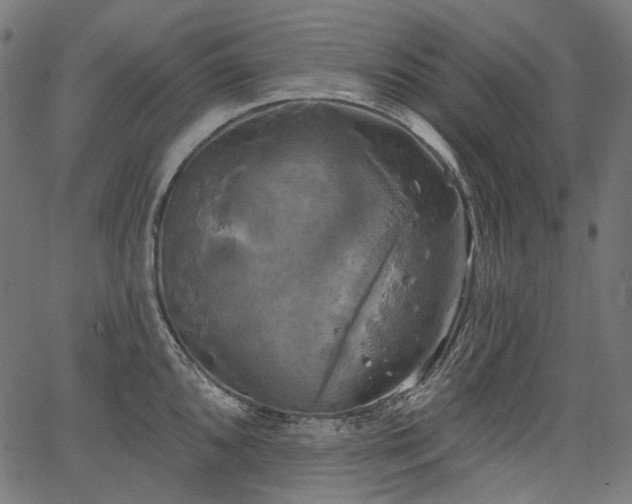 X0000067391096200603311253