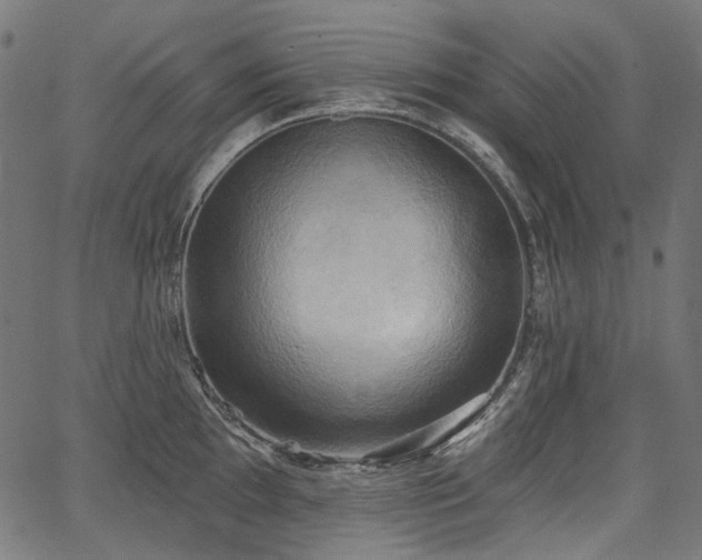 X0000067391097200603311253