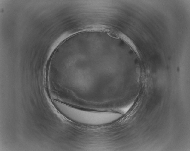 X0000067391099200603311253