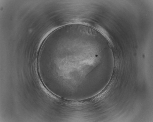 X0000067391100200603311253