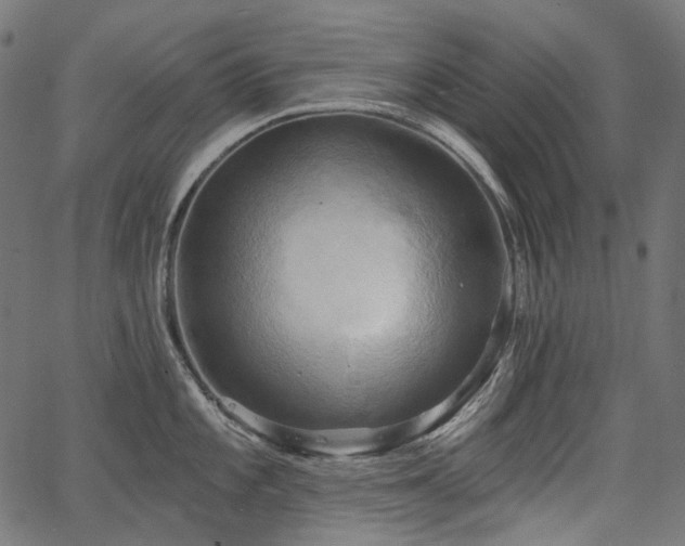 X0000067391101200603311253