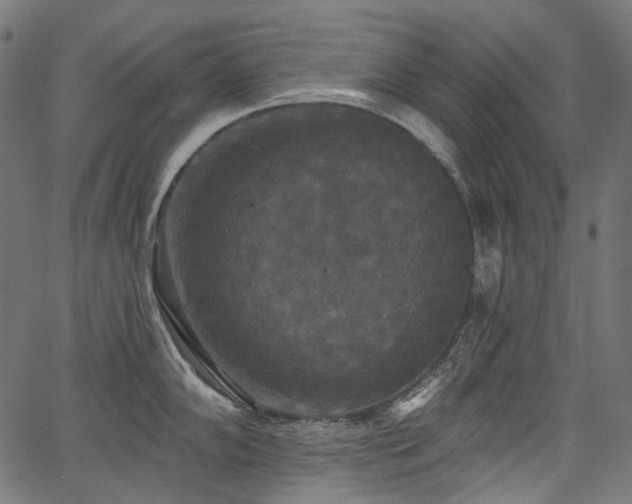 X0000067391102200603311252