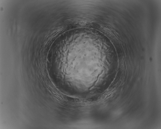 X0000067391105200603311252