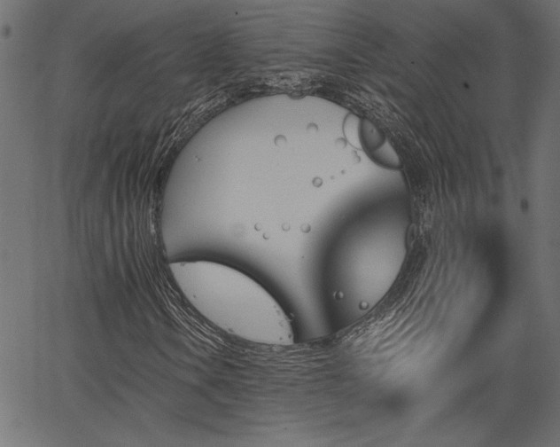 X0000067391106200603311252