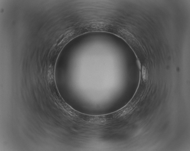 X0000067391107200603311252