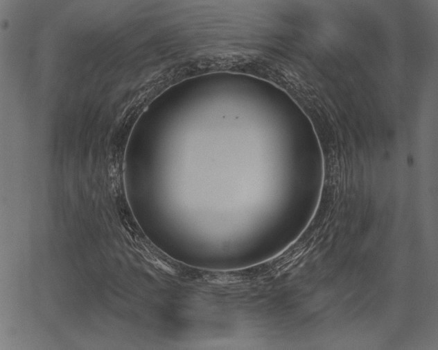 X0000067391109200603311252