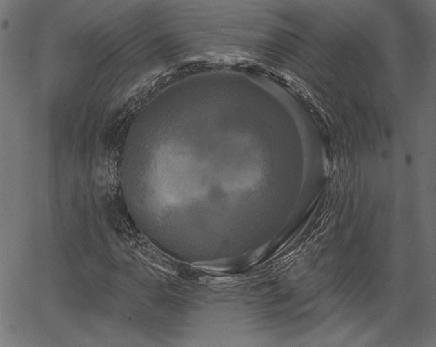 X0000067391110200603311252