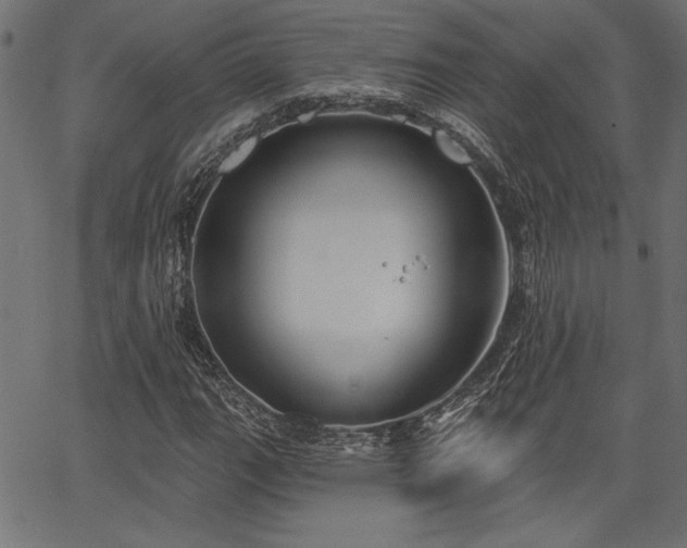 X0000067391111200603311252