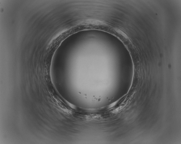 X0000067391112200603311252