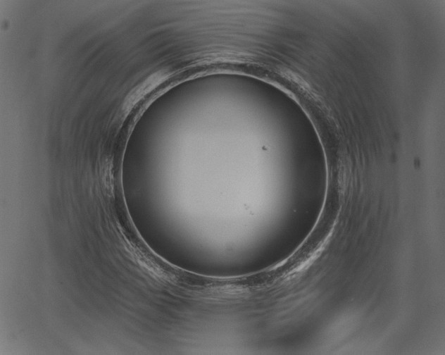 X0000067391113200603311252