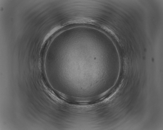 X0000067391114200603311252