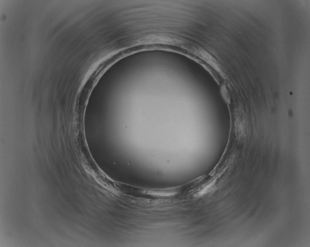 X0000067391116200603311252