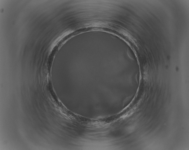 X0000067391117200603311252