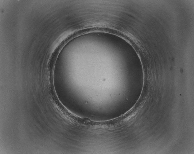 X0000067391118200603311252