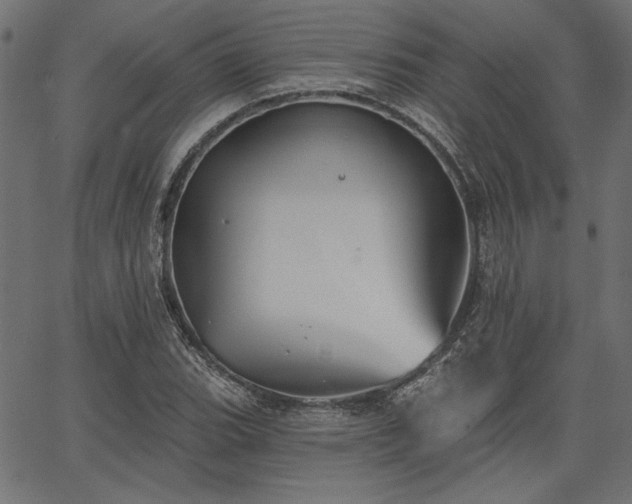 X0000067391119200603311252