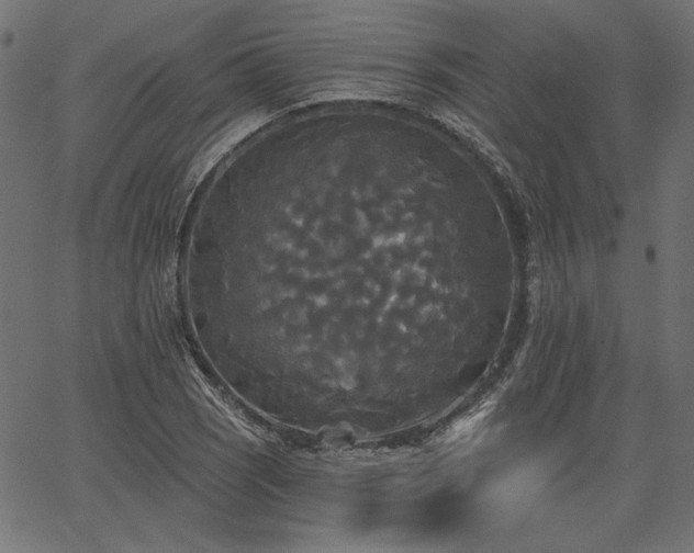 X0000067391121200603311252