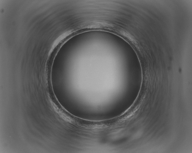 X0000067391122200603311252